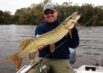 Pikes on Spinmad lures
