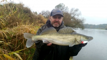 Zanders on Spinmad lures