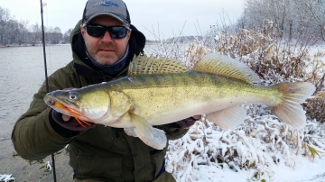 Zanders on Spinmad lures