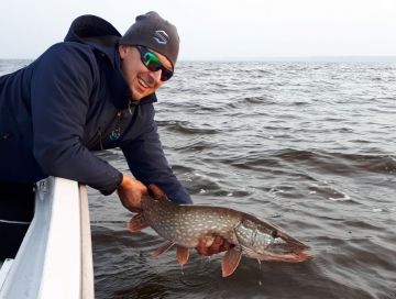 Pikes on Spinmad lures