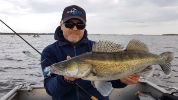 Zanders on Spinmad lures