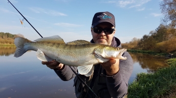 Zanders on Spinmad lures