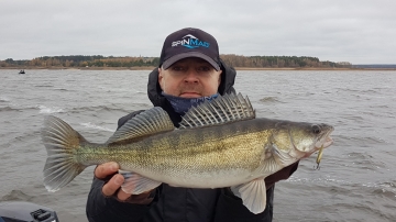 Zanders on Spinmad lures