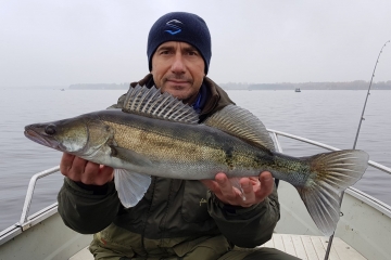 Zanders on Spinmad lures