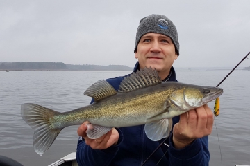 Zanders on Spinmad lures