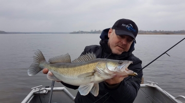 Zanders on Spinmad lures