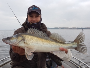 Zanders on Spinmad lures