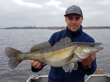 Zanders on Spinmad lures