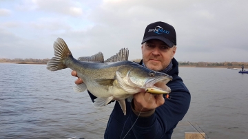 Zanders on Spinmad lures