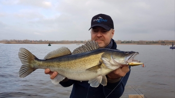 Zanders on Spinmad lures