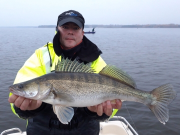 Zanders on Spinmad lures