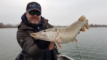 Pikes on Spinmad lures