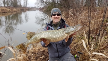 Pikes on Spinmad lures