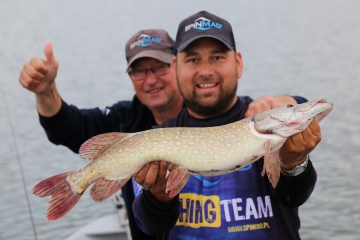 Pikes on Spinmad lures