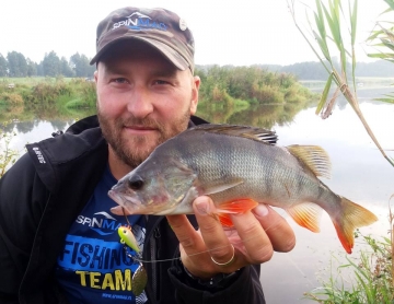 Perches on Spinmad lures