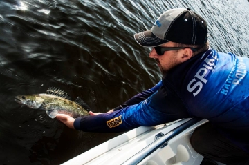 Zanders on Spinmad lures