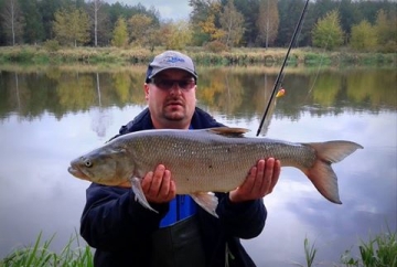 Asps on Spinmad lures