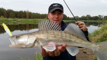 Zanders on Spinmad lures