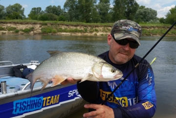 Asps on Spinmad lures
