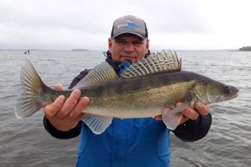 Zanders on Spinmad lures