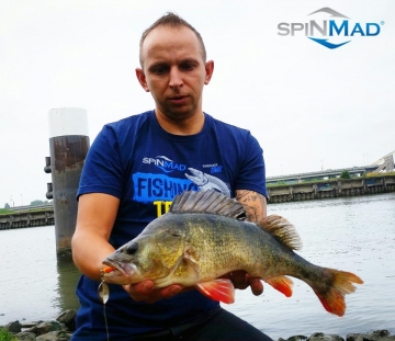 Perches on Spinmad lures