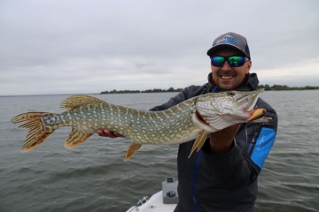 Pikes on Spinmad lures