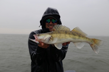 Zanders on Spinmad lures