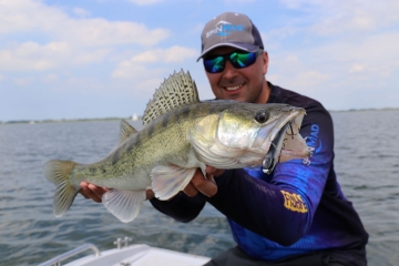 Zanders on Spinmad lures
