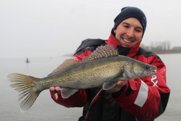 Zanders on Spinmad lures