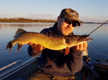 Pikes on Spinmad lures