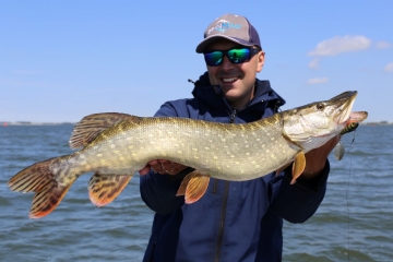 Pikes on Spinmad lures
